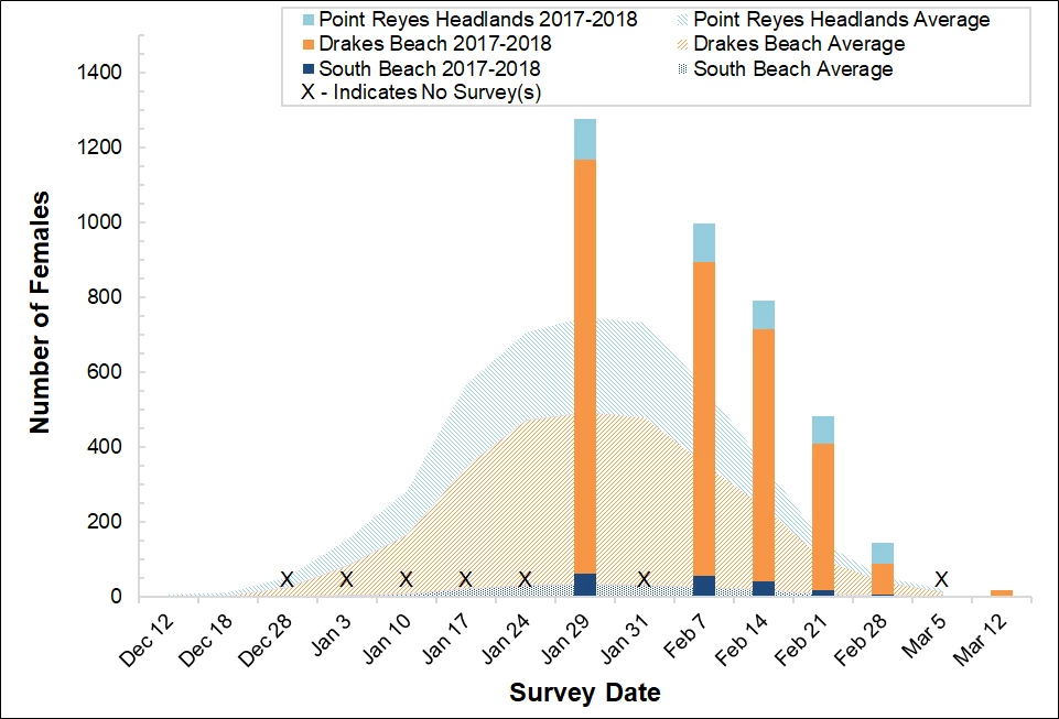 2018-2019 Female Elephant Seal Counts Stacked bar graph of female elephant seal counts at three colonies in Point Reyes in 2018-2019 by survey date, overlayed on a stacked area graph showing the average number of females surveyed at the colonies between 2005 and 2017.