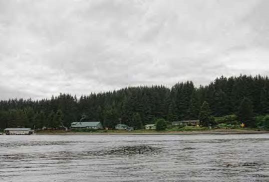 Photo of several buildings between the shore and forest viewed from water