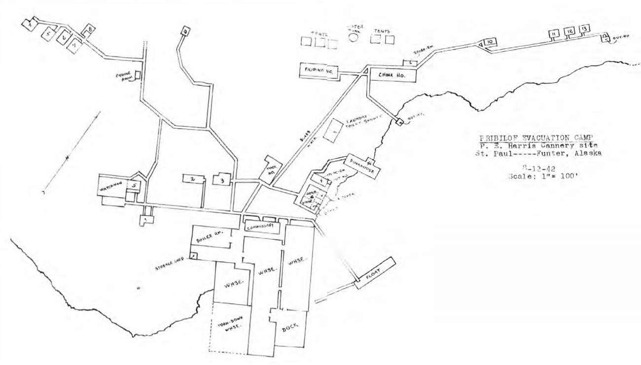Line drawn map showing buildings, roads, and shore.  Text reads "Pribilof Evacuation Camp"