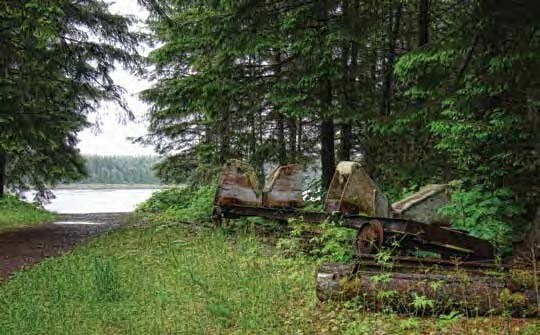 Rusted items with overgrowth along the edge of trees.