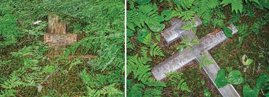 Composite image of two photos of wooden crosses laying on the ground surrounded by plants.