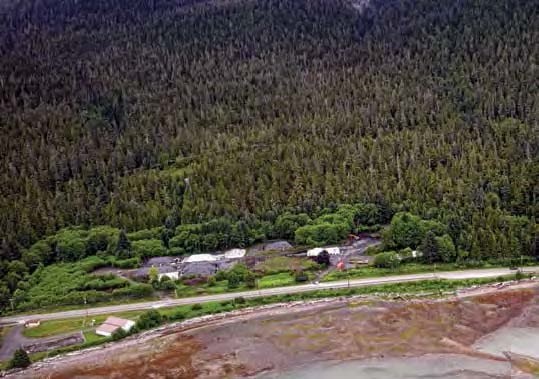 Aerial view of buildings on the edge of forest and shore