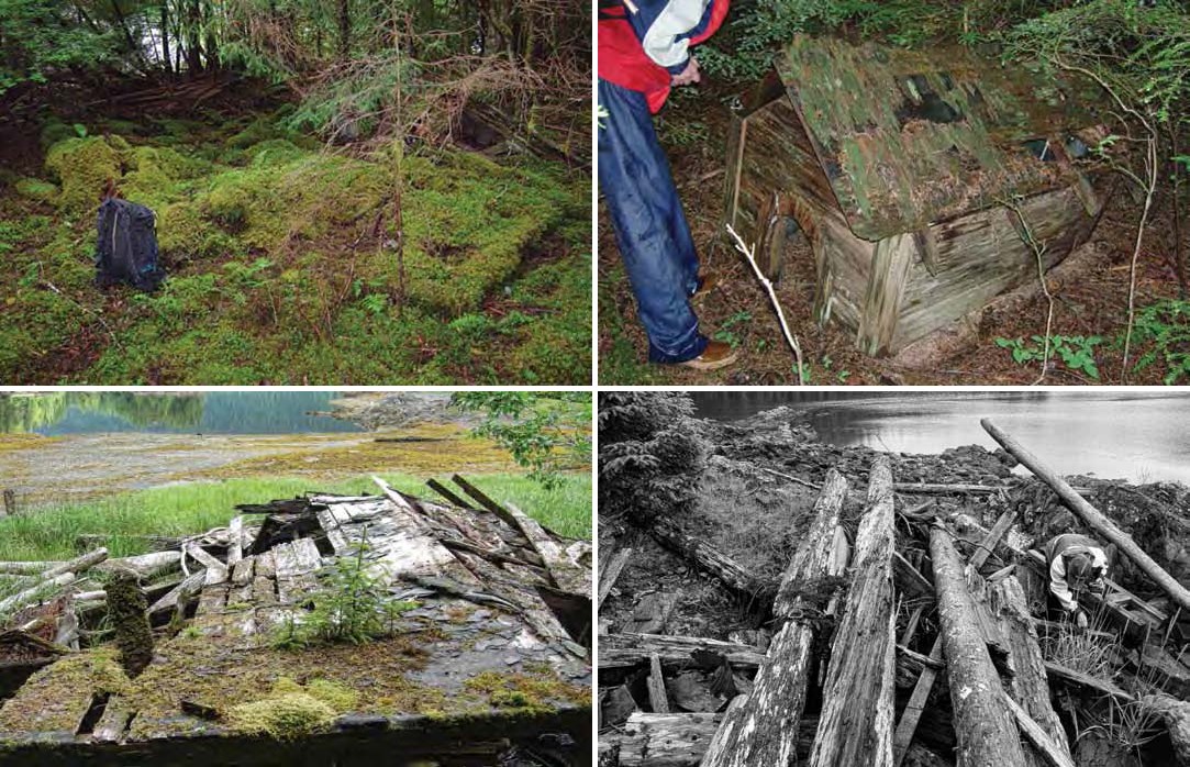 Composite of four images. Top: A mossy area and a small collapsing dog house. Bottom: two views of collapsed buildings