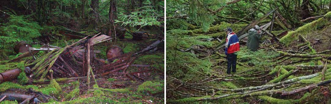 Composite of two images. Left: Collapsed wooden building with rusted metal.  Right: people standing in moss covered downed trees.