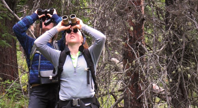 man and woman in a forest looking up with binoculars