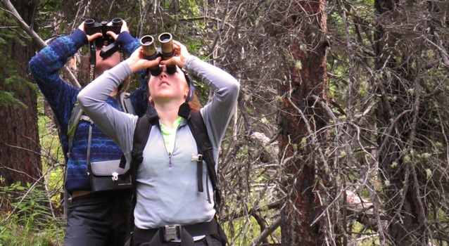 man and woman in a forest looking up with binoculars