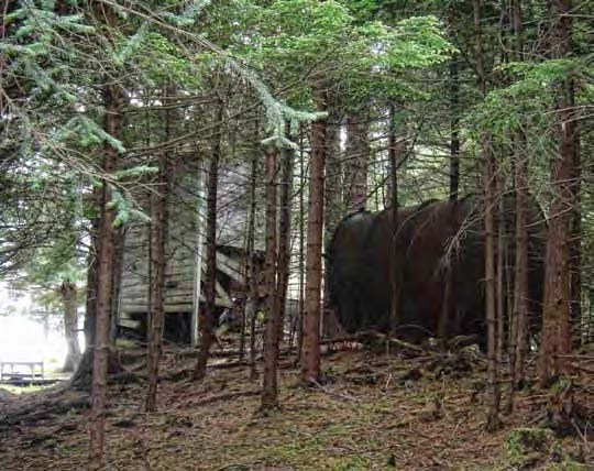 Shed and large tank in a forested area