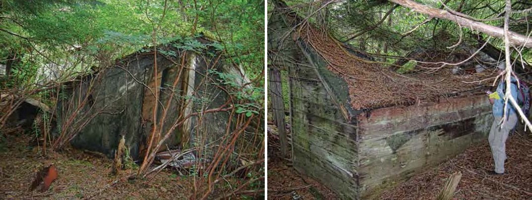 Two views of a collapsing cabin in the forest