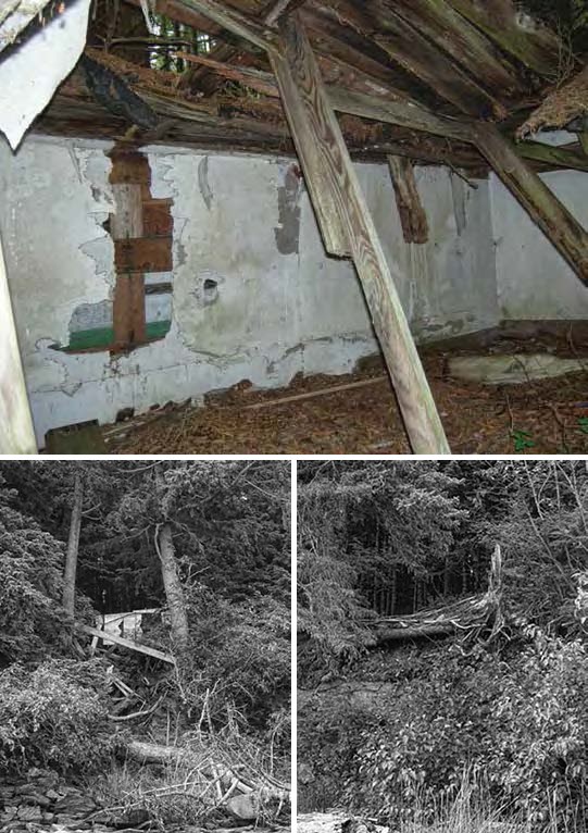 lt= Composite of three images. Top: interior collapsed cabin. Bottom: two views of collapsed structures in the forest