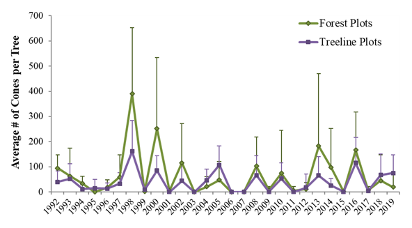 fig 4 spruce production scatter plot chart showing forest plots and tree plots from 1992 to 2019. 1998, 2000, 2013 and 2016 have highest number of cones per tree