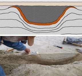 cross section view of mammoth print