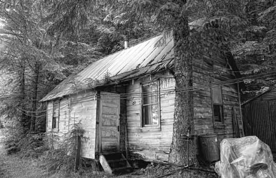 Black and white photo of a small wooden building with trees very close to it.