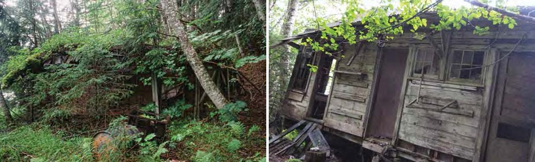 Composite image of two photos. Left: building remains overgrown with trees and plants. Right: Wooden building leaning unevenly to the right.