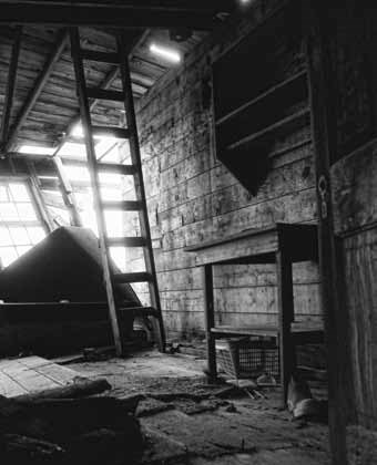 Black and white photo of messy building interior with a table and ladder leading to second story.