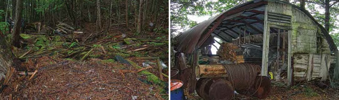 Composite of two photos: left: mossy wooden planks in a clearing. Right: Open ended Quonset hut with firewood and more inside.