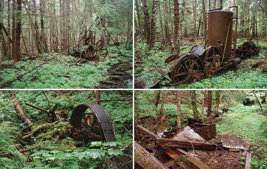 Composite of four photos: All show rusted metal and boards in lush green vegetation
