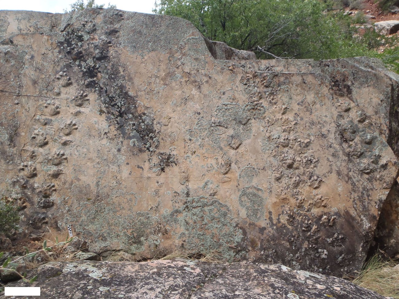 track-bearing boulder