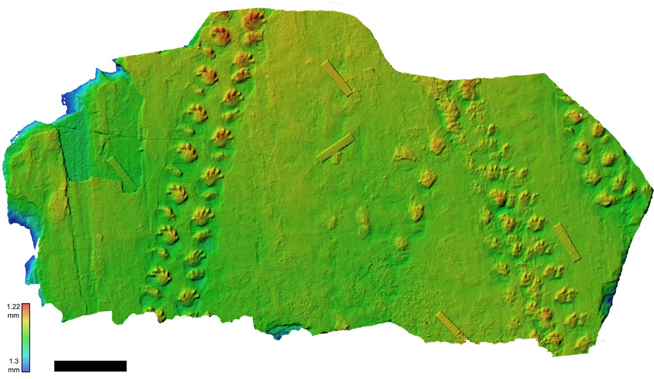 False color depth map of track-bearing boulder