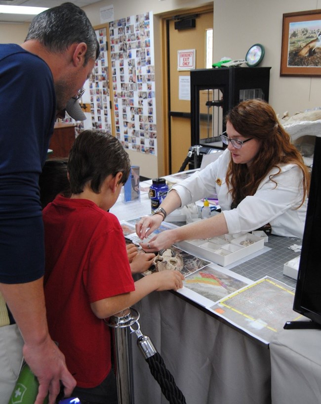GIP Bret Buskirk working with fossils while talking to visitors GIP Bret Buskirk working with fossils while talking to visitors
