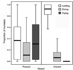 Figure 2 Kittlitz's Murrelets Figure of Kittlitz's Murrelet behavior in the presence and absence of vessels