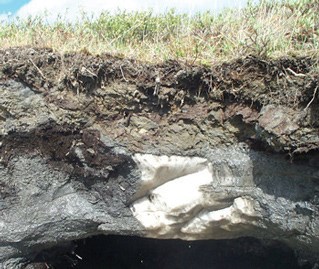 ice under a grassy area of soil