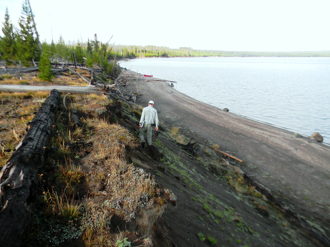 Figure 2. Osprey Beach excavations.