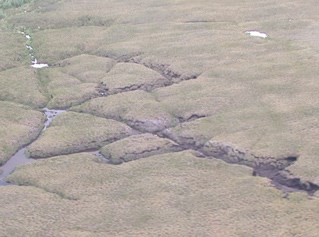 aerial view of a tree less landscape with large, water-filled cracks in it