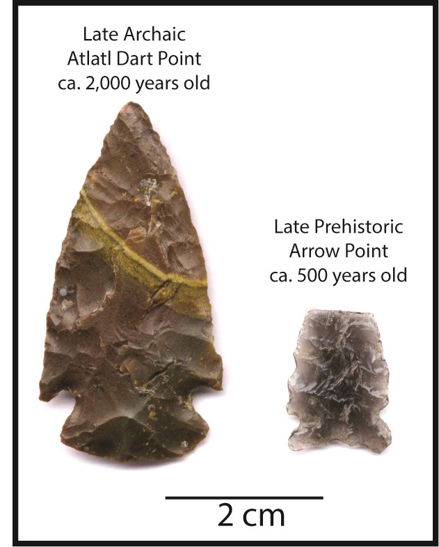 Figure 4. Comparison of Atlatl dart point (left) and Bow and Arrow point (right) from Yellowstone Lake. Photo- ©D. MacDonald.