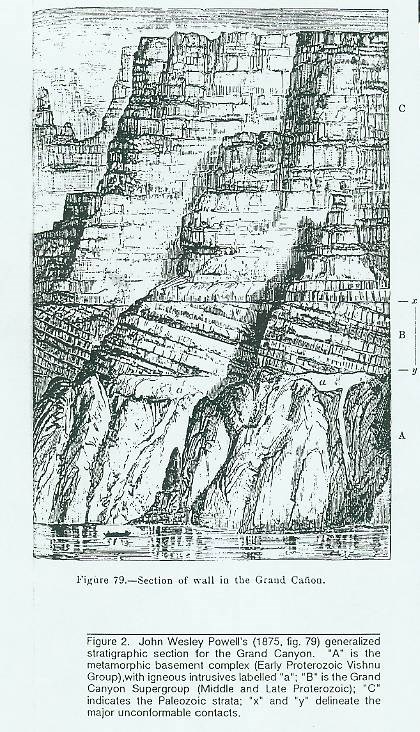 Grand Canyon cliffs rendered in ink.