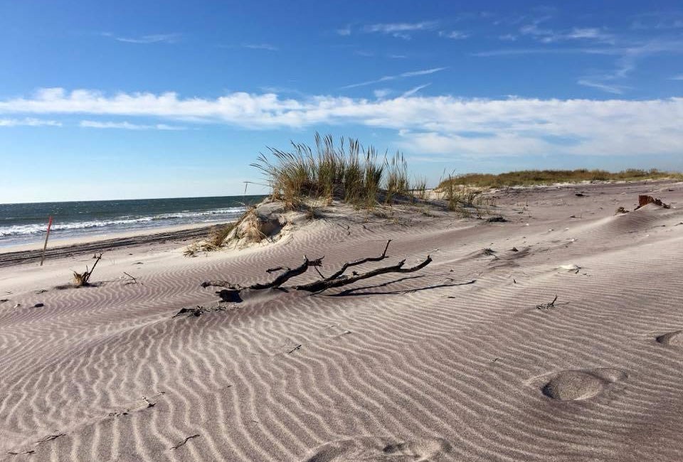 sandy beach with rippled pattern and dune grasses