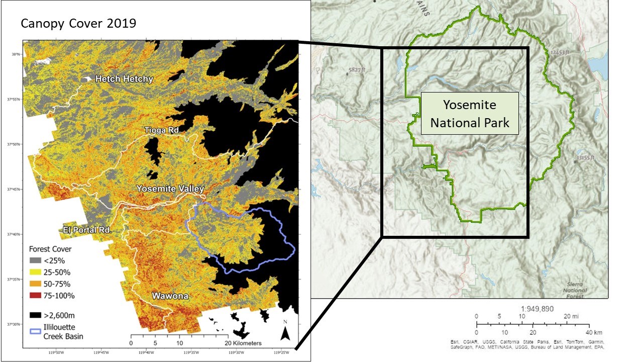 Map of forest cover in YOSE Map of forest cover shows that while the forest cover categories occur throughout the park, more of the densest areas occur in the southwest portion of Yosemite. Inset map of Yosemite National Park included.