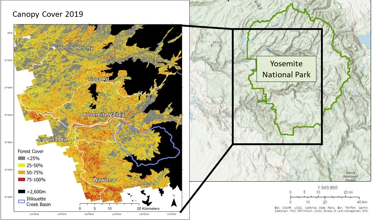 Map of forest cover in YOSE Map of forest cover shows that while the forest cover categories occur throughout the park, more of the densest areas occur in the southwest portion of Yosemite. Inset map of Yosemite National Park included.