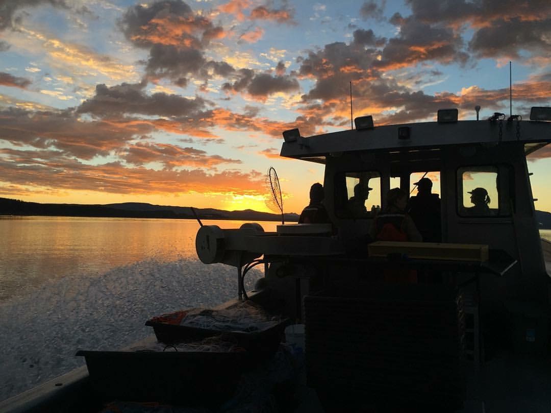 Fisheries boats on Yellowstone Lake at sunset