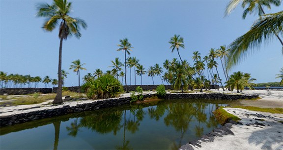 fish ponds Fish Ponds image