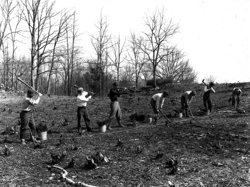 A row of men plan tree saplings in an open field.