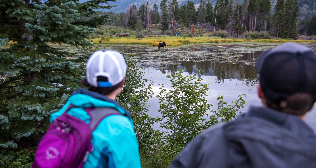 stay a safe distance from wildlife two people watch moose across a lake