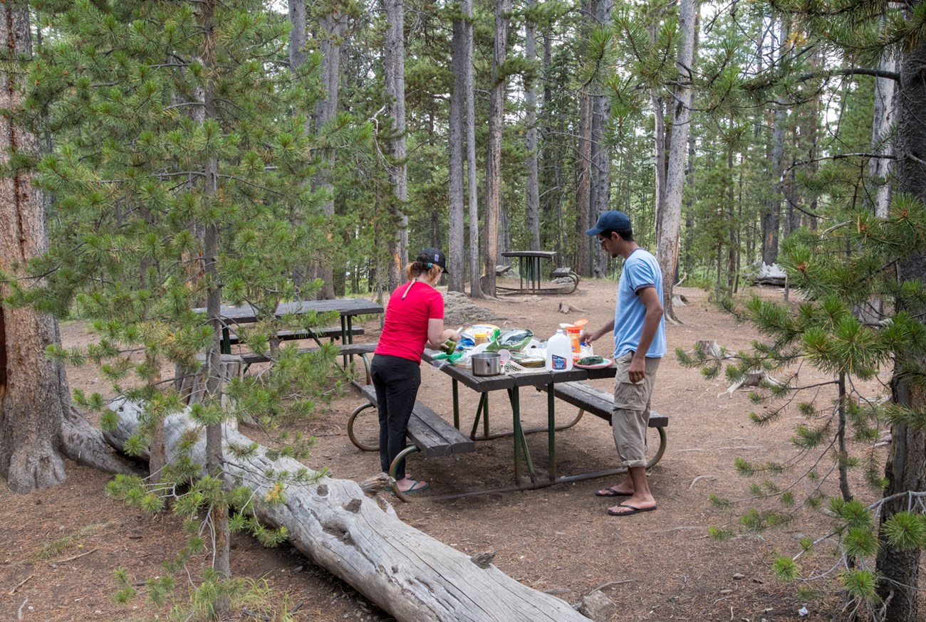 two people prepare meal in picnic area