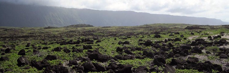 Landscape at Kalaupapa