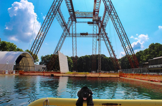 gantry1 toy dog near large pool