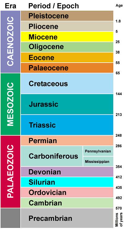 Geological timeline featuring the Palaeozoic through the Caenozoic era.