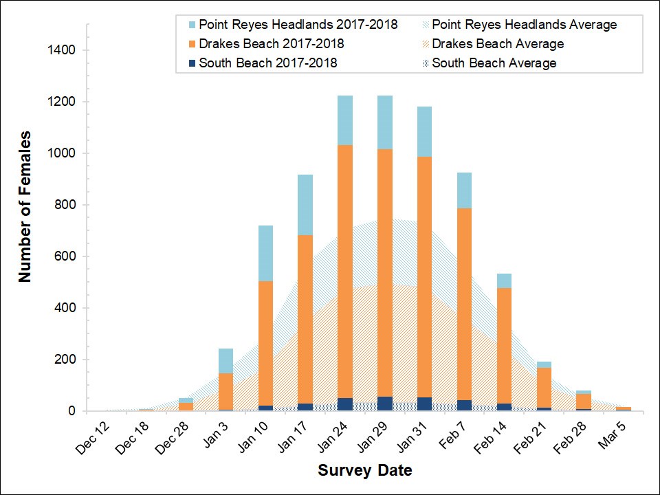 Stacked bar graph of female elephant seal counts at three colonies in Point Reyes in 2017-2018 by survey date, overlayed on a stacked area graph showing the average number of females surveyed at the colonies between 2005 and 2017.