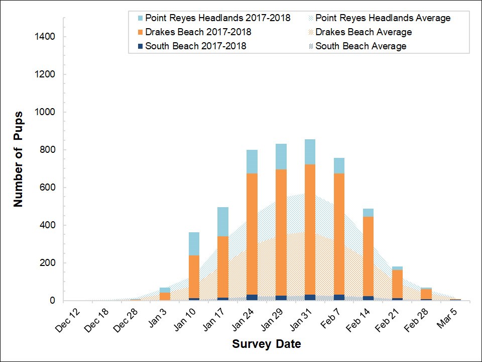Stacked bar graph of the number of elephant seal pups counted at three colonies in Point Reyes in 2017-2018 by survey date, overlayed on a stacked area graph showing the average number of pups counted at the colonies between 2005 and 2017.