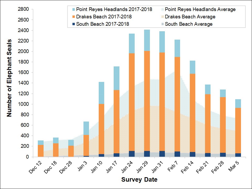 Stacked bar graph of the total number of elephant seals surveyed at three locations in Point Reyes National Seashore by survey date, overlayed on a stacked area graph showing the average number of seals surveyed at the same sites between 2005 and 2017.