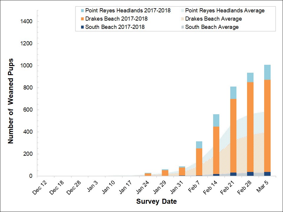 Stacked bar graph of the number of weaned elephant seals counted at three colonies in Point Reyes in 2017-2018 by survey date, overlayed on a stacked area graph showing the average number of weaned seals counted at the colonies between 2005 and 2017.