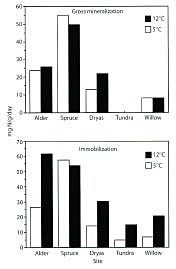 Potential Effects of Soil Warming Results of laboratory study showing potential effects of soil warming on soil organic N mineralization rates (top plot), and soil microbial uptake of N (bottom plot) beneath major vegetation types, Asik watershed (from Binkley at al. 1994)
