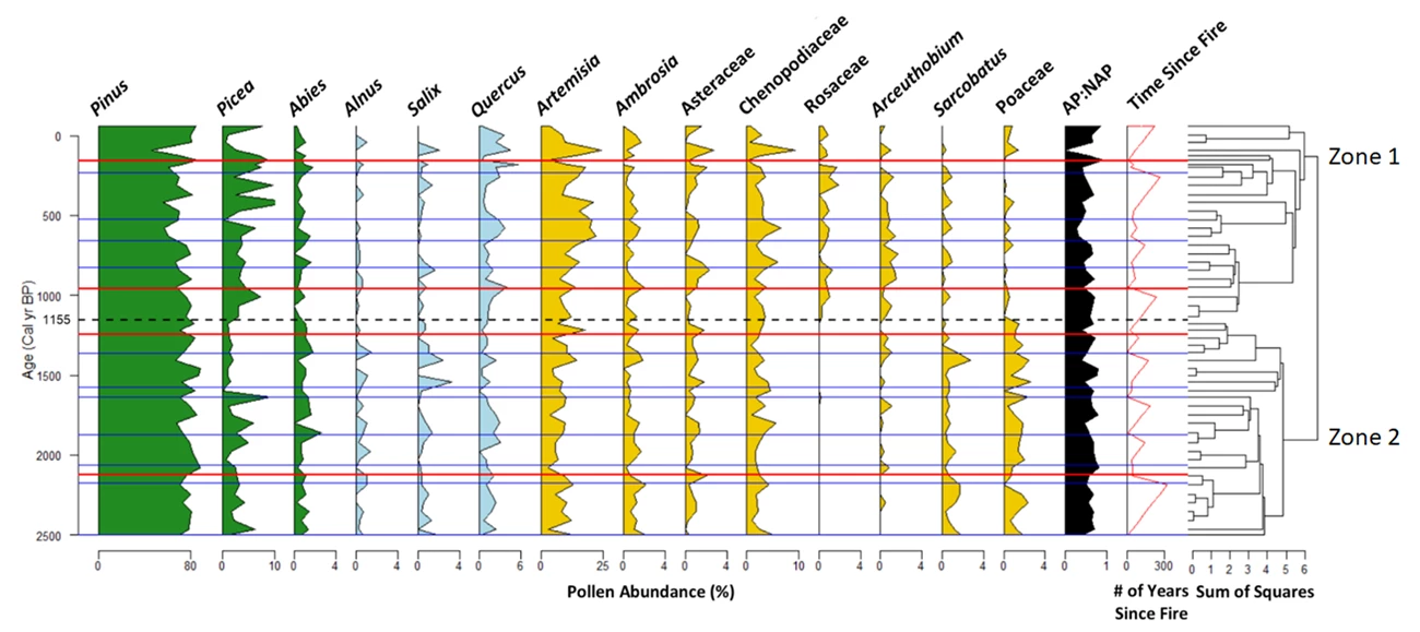 Abundance of different types of pollen in relation to age of sample and fire events Stratigraphic diagram showing pollen types and their abundance within samples in relation to the age of the samples and fire events