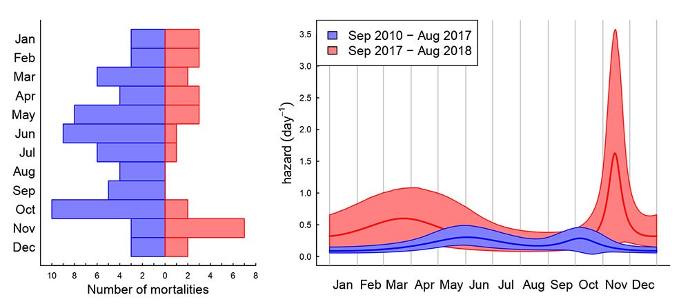 A graph showing peak times for caribou mortality.
