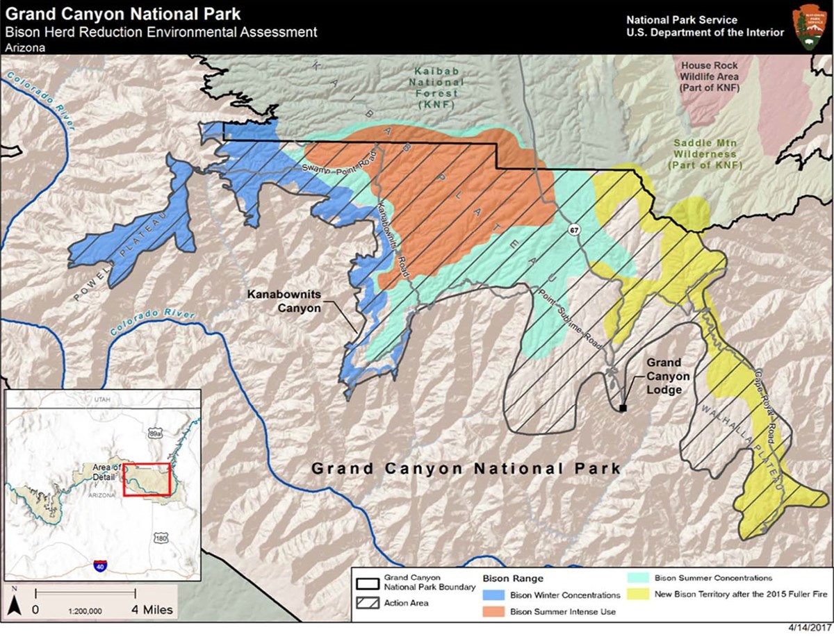 A map showing the North Rim of grand Canyon. There are different colors indicating the different seasonal ranges of bison herds. A map showing the North Rim of grand Canyon. There are different colors indicating the different seasonal ranges of bison herds.