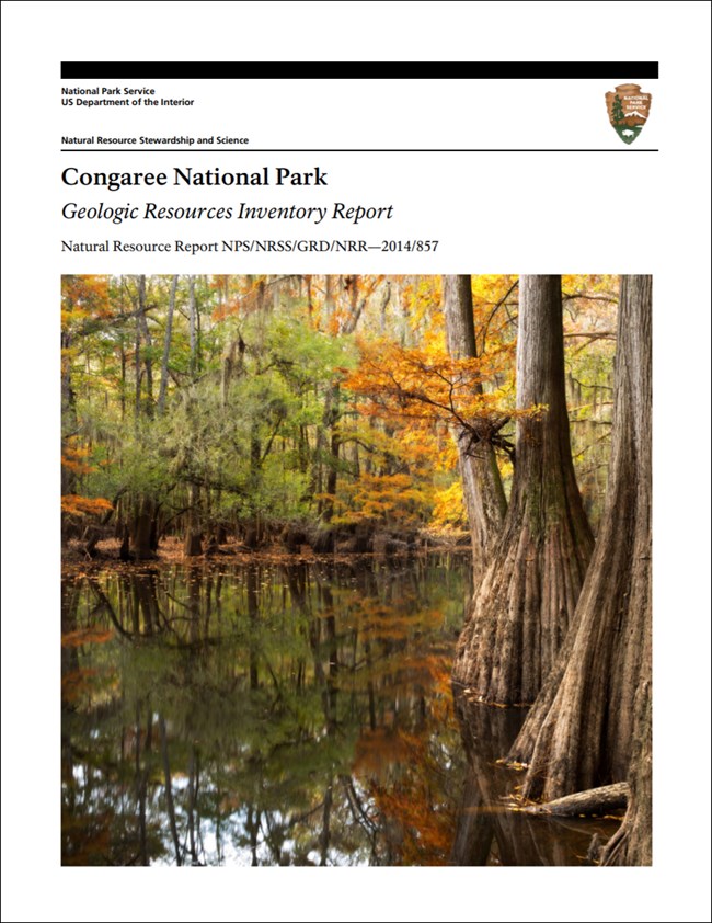 link to congaree gri report download site congaree report cover with wetlands image