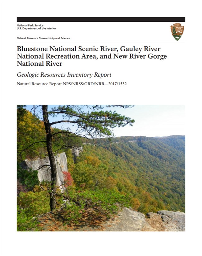 image of gri report cover with park landscape photo